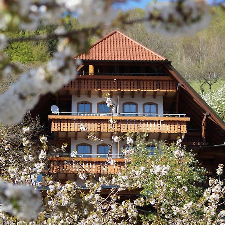 Kurparkhotel Faisst Bad Peterstal-Griesbach Ngoại thất bức ảnh