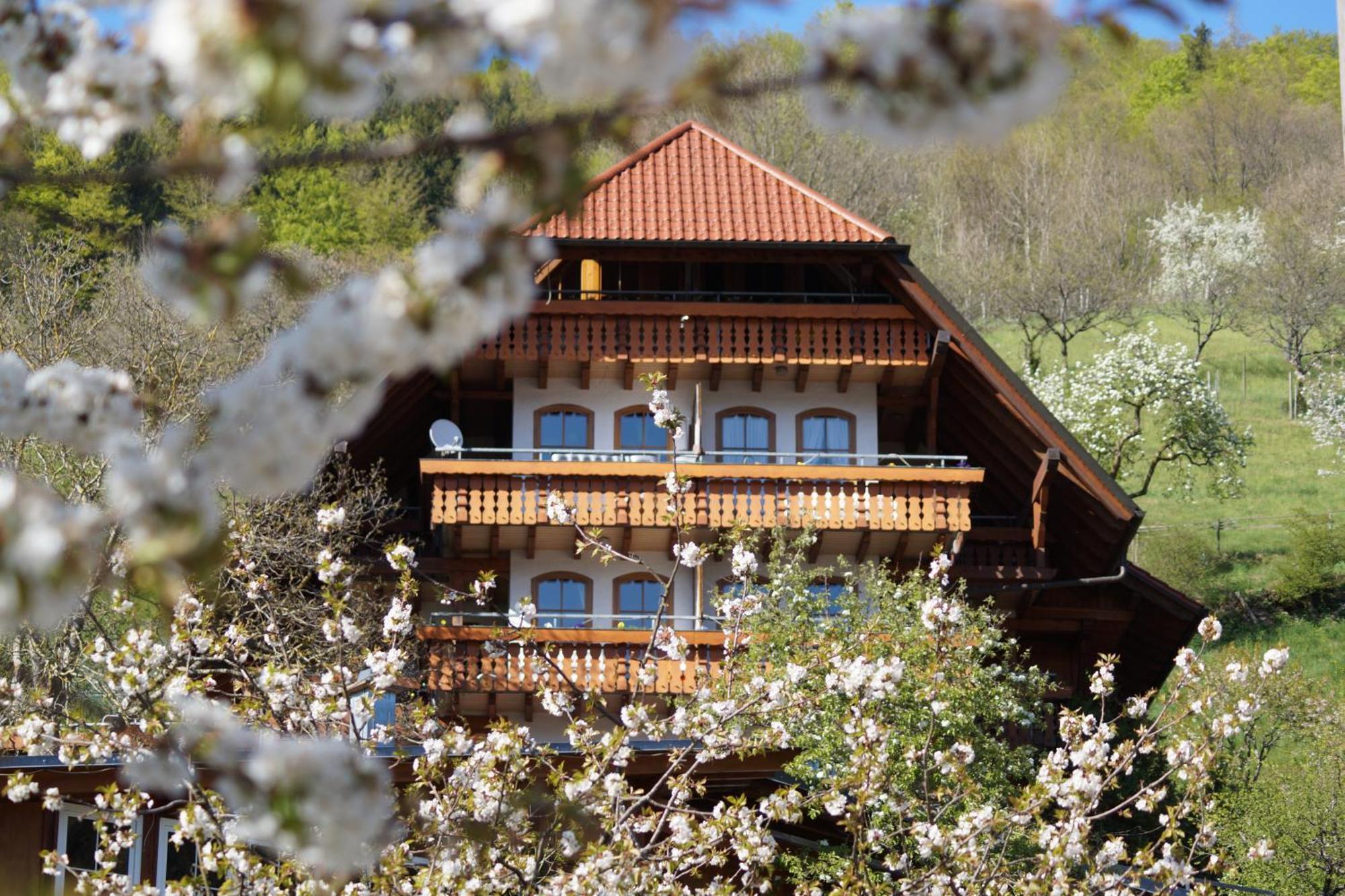 Kurparkhotel Faisst Bad Peterstal-Griesbach Ngoại thất bức ảnh